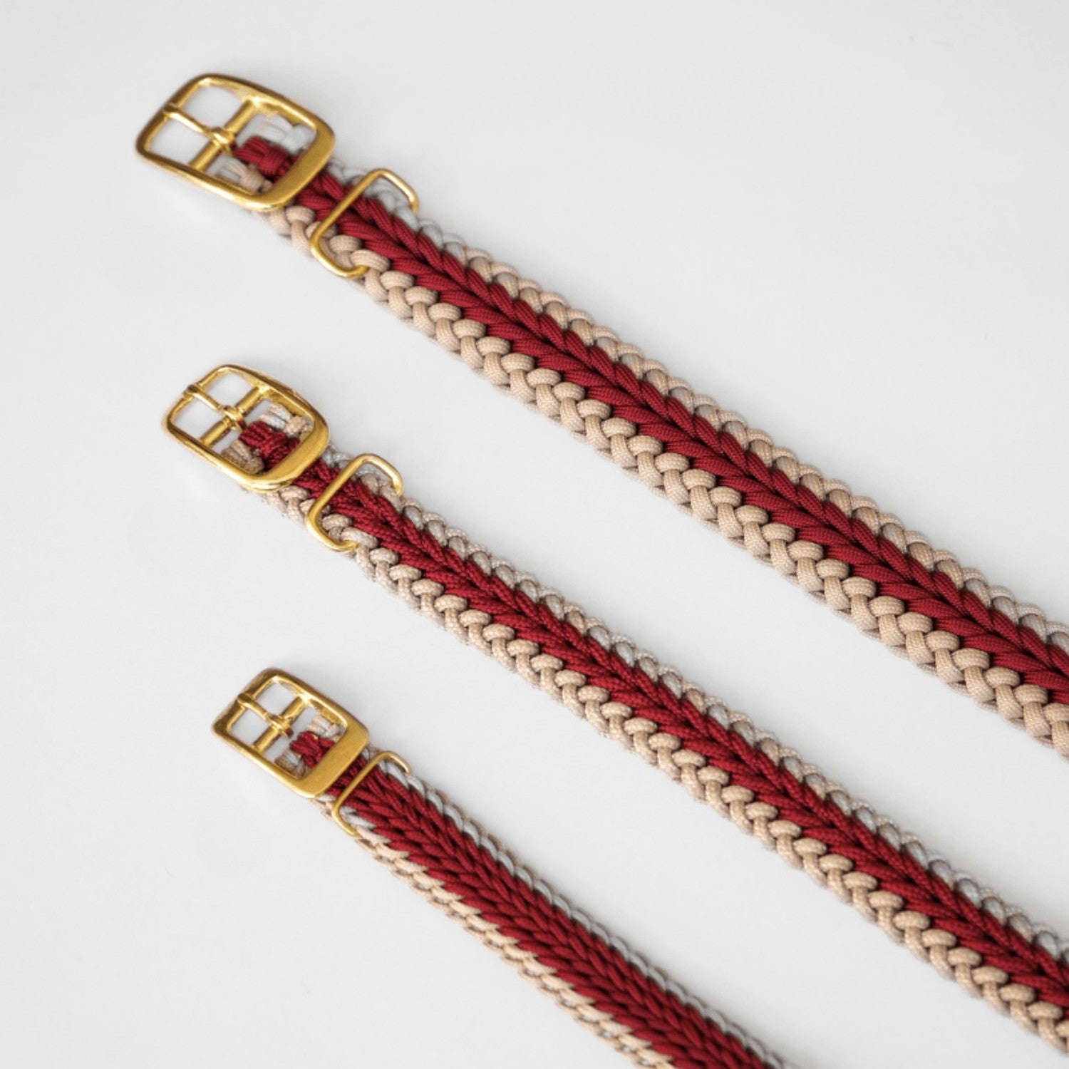 Catalina - Red Collar