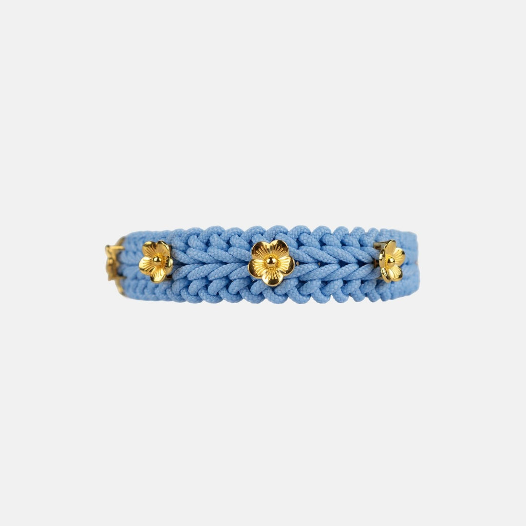 Flor - Sky Blue Collar