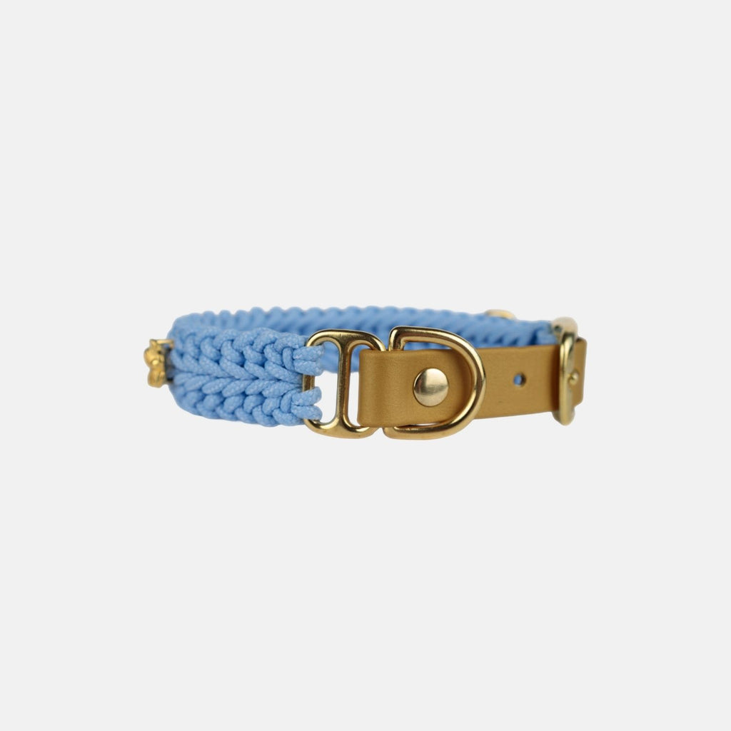 Flor - Sky Blue Collar