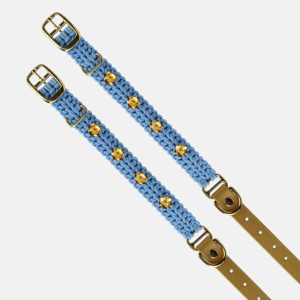Flor - Sky Blue Collar