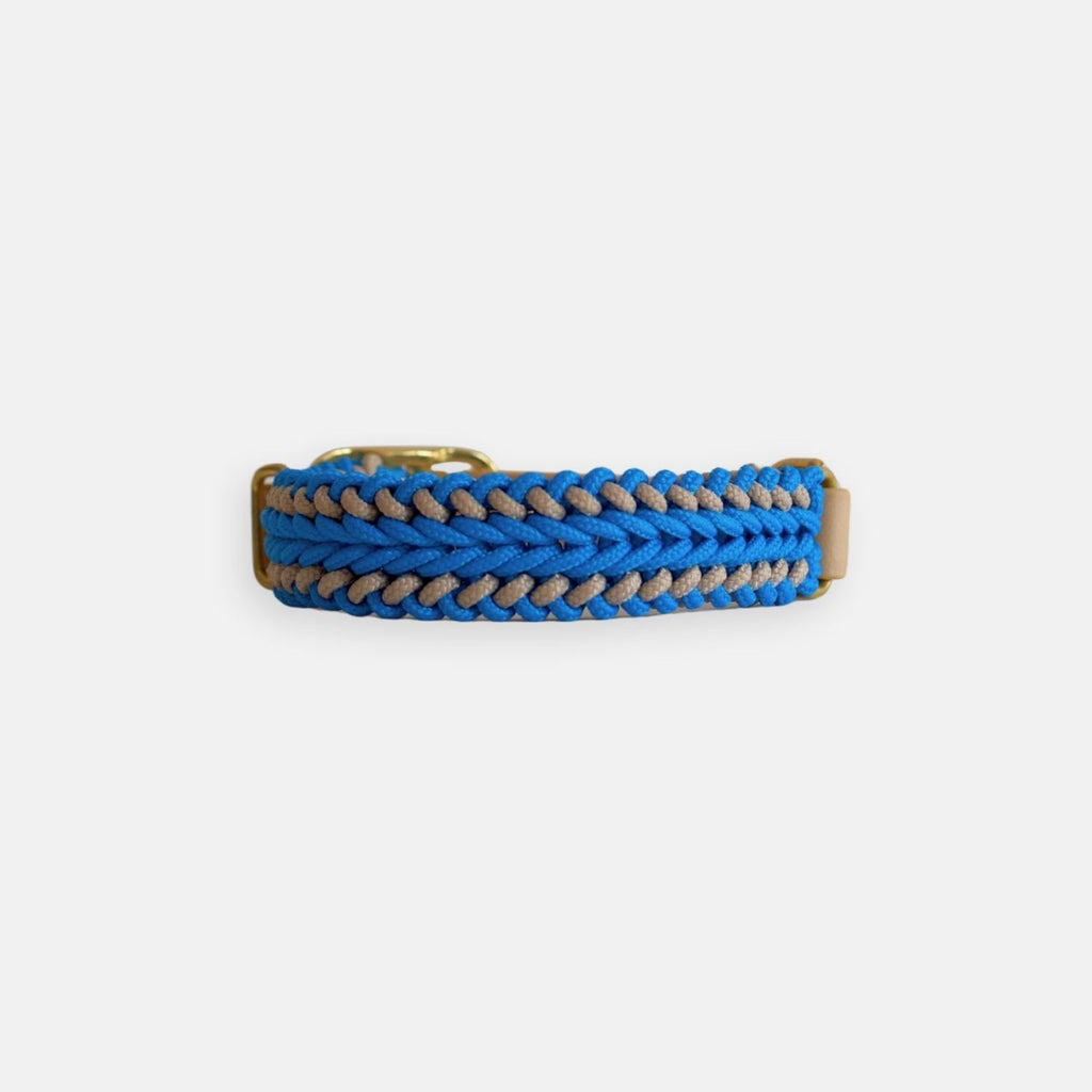 Catalina - Tropical Blue Collar