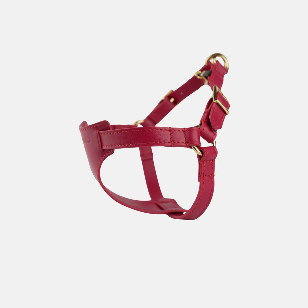 Italian Leather Harness - Burgundy & Gold