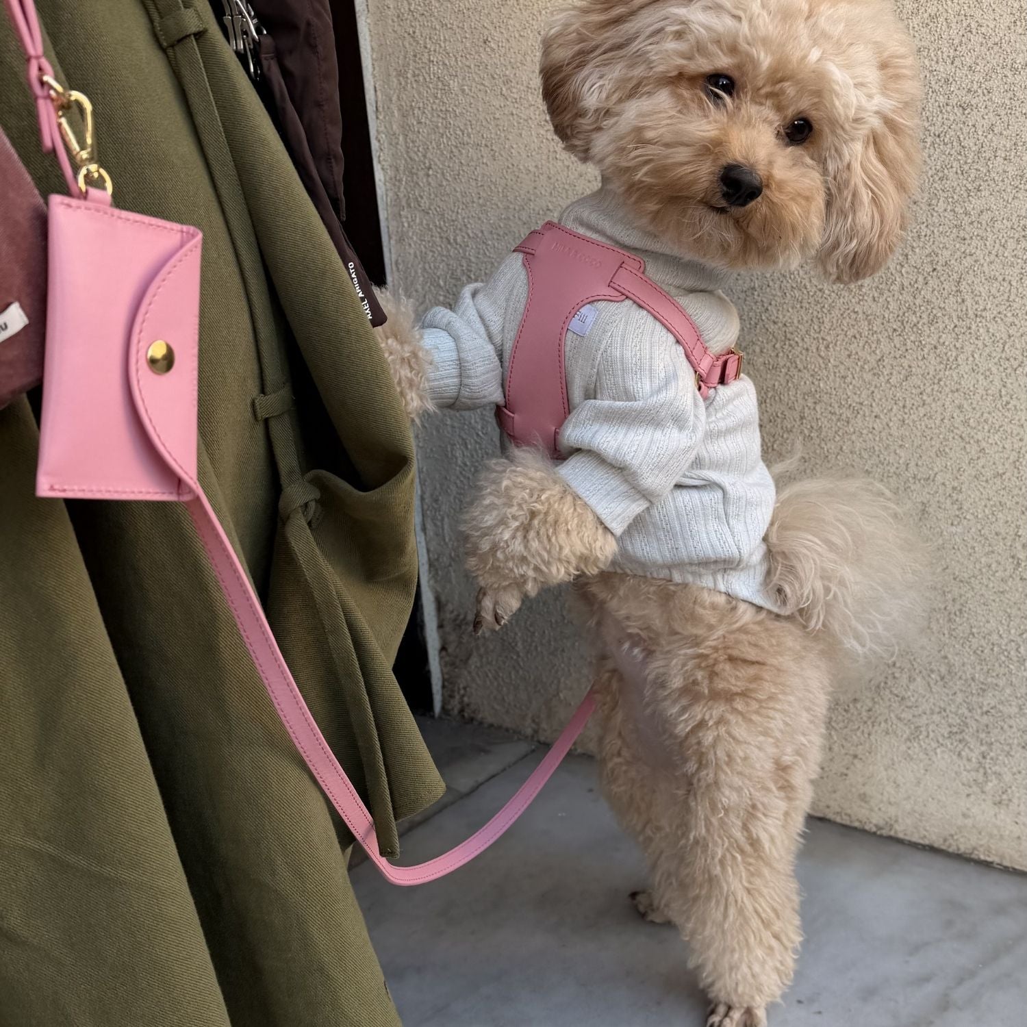 Mila & Coco - Pink Leather Poop Bag Holder