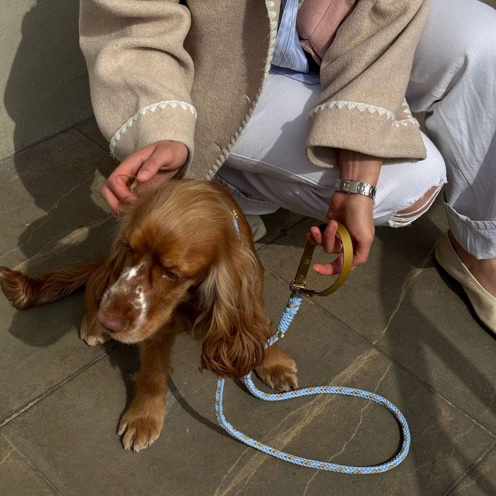 Flor - Sky Blue Leash