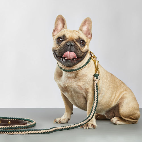 Catalina - Dark Green Leash