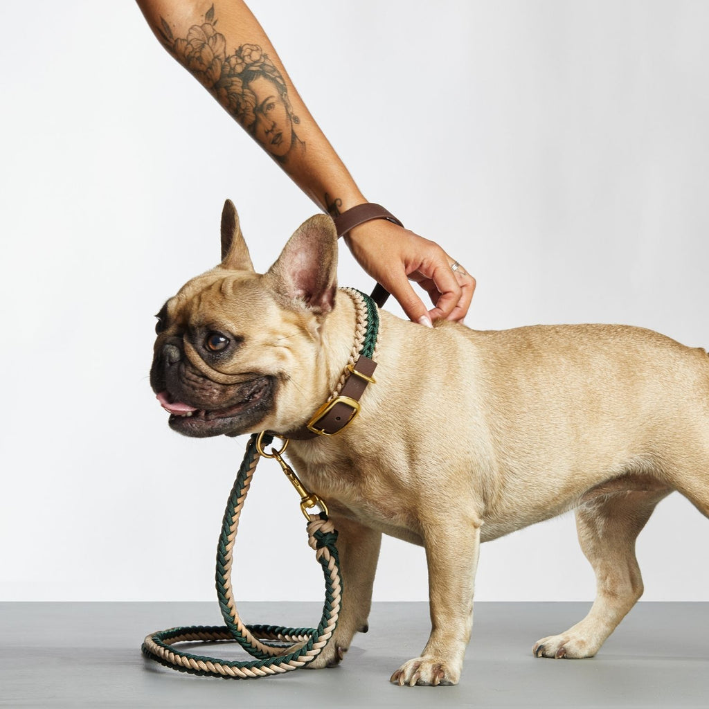 Catalina - Dark Green Leash