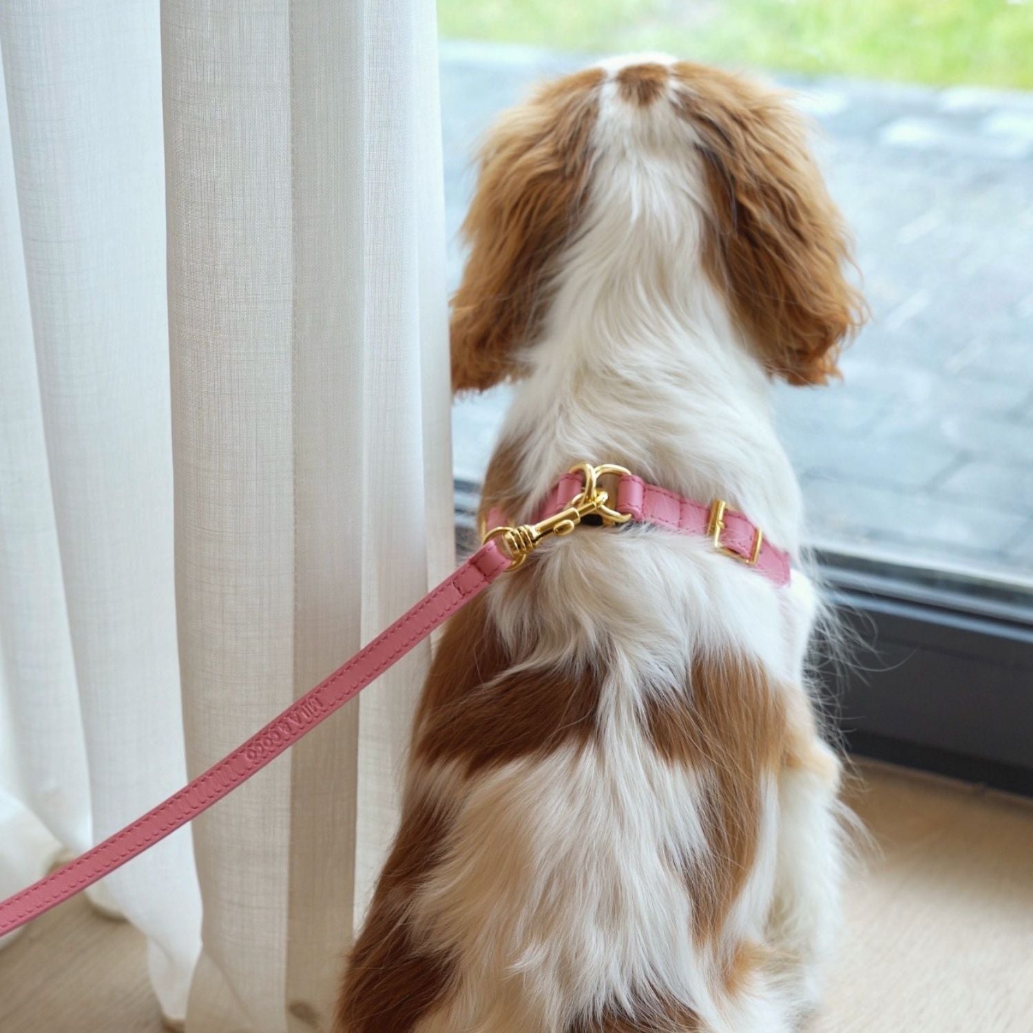 Italian Leather Harness - Pink & Gold