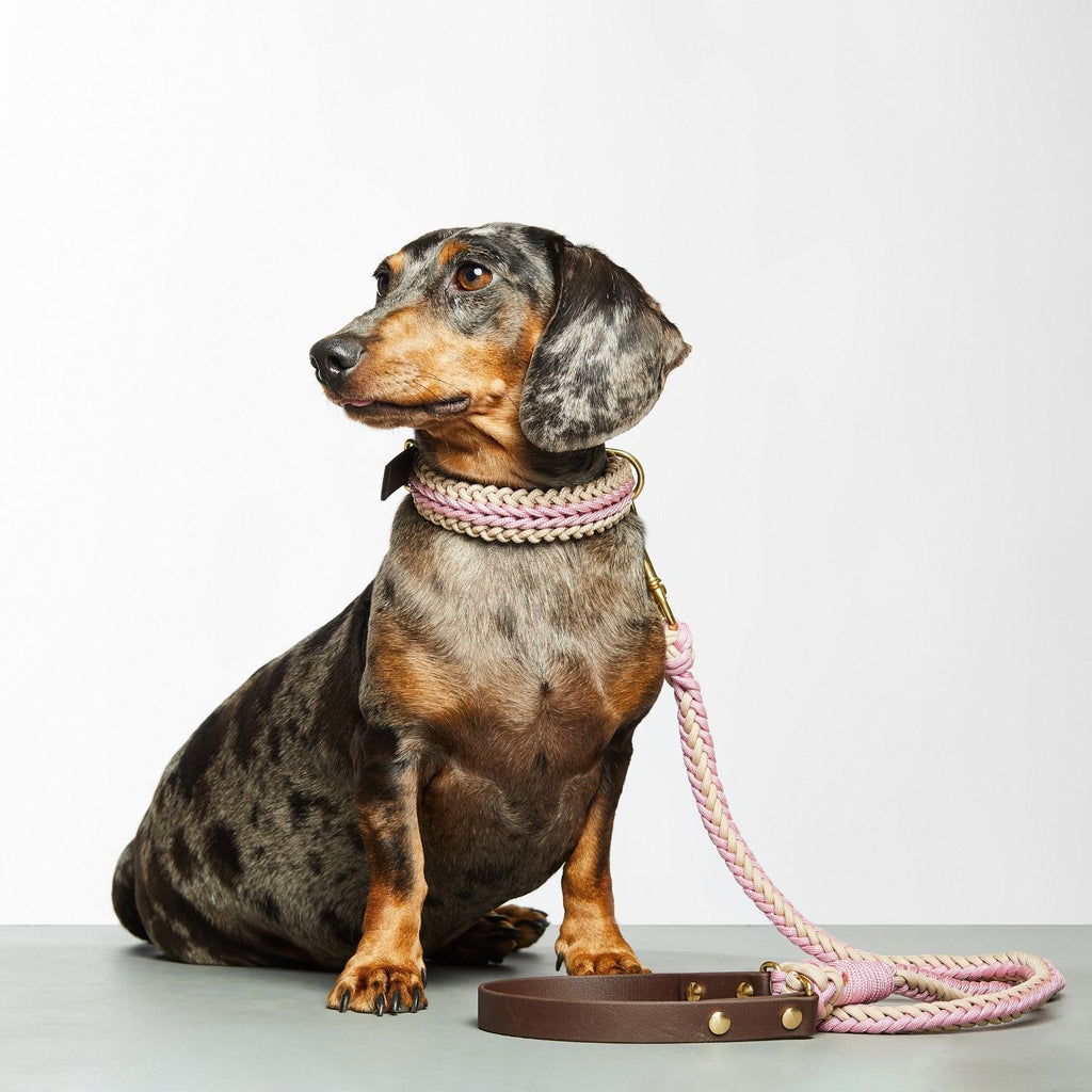 Catalina - Blush Pink Collar