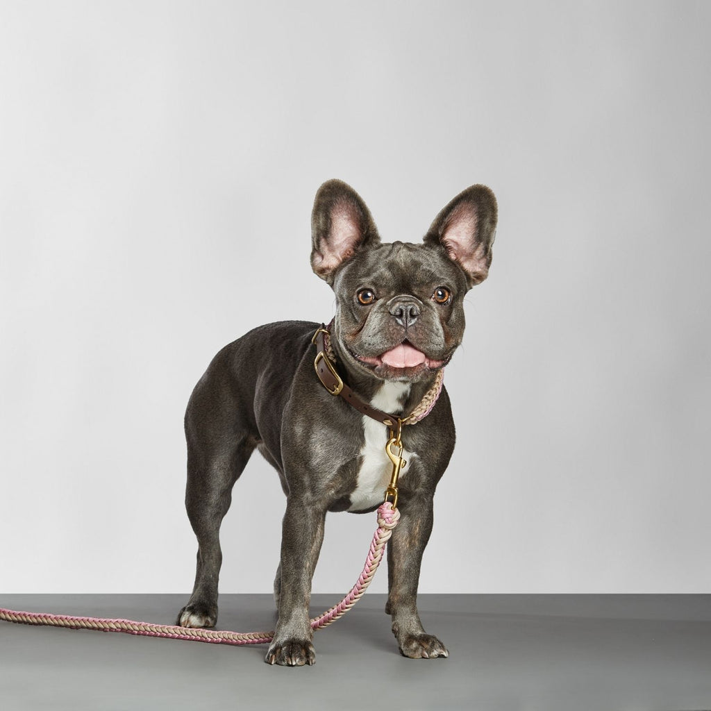 Catalina - Blush Pink Collar