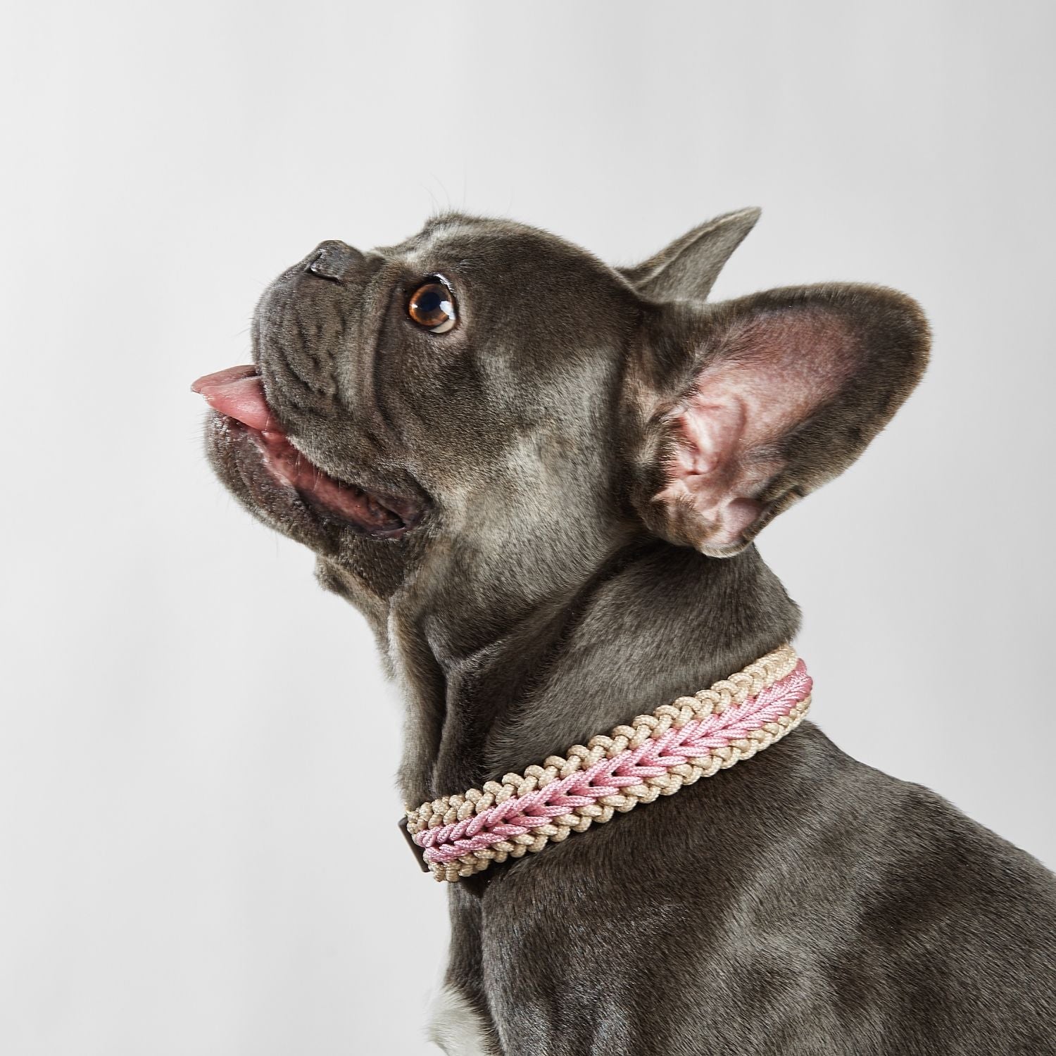 Catalina - Blush Pink Collar