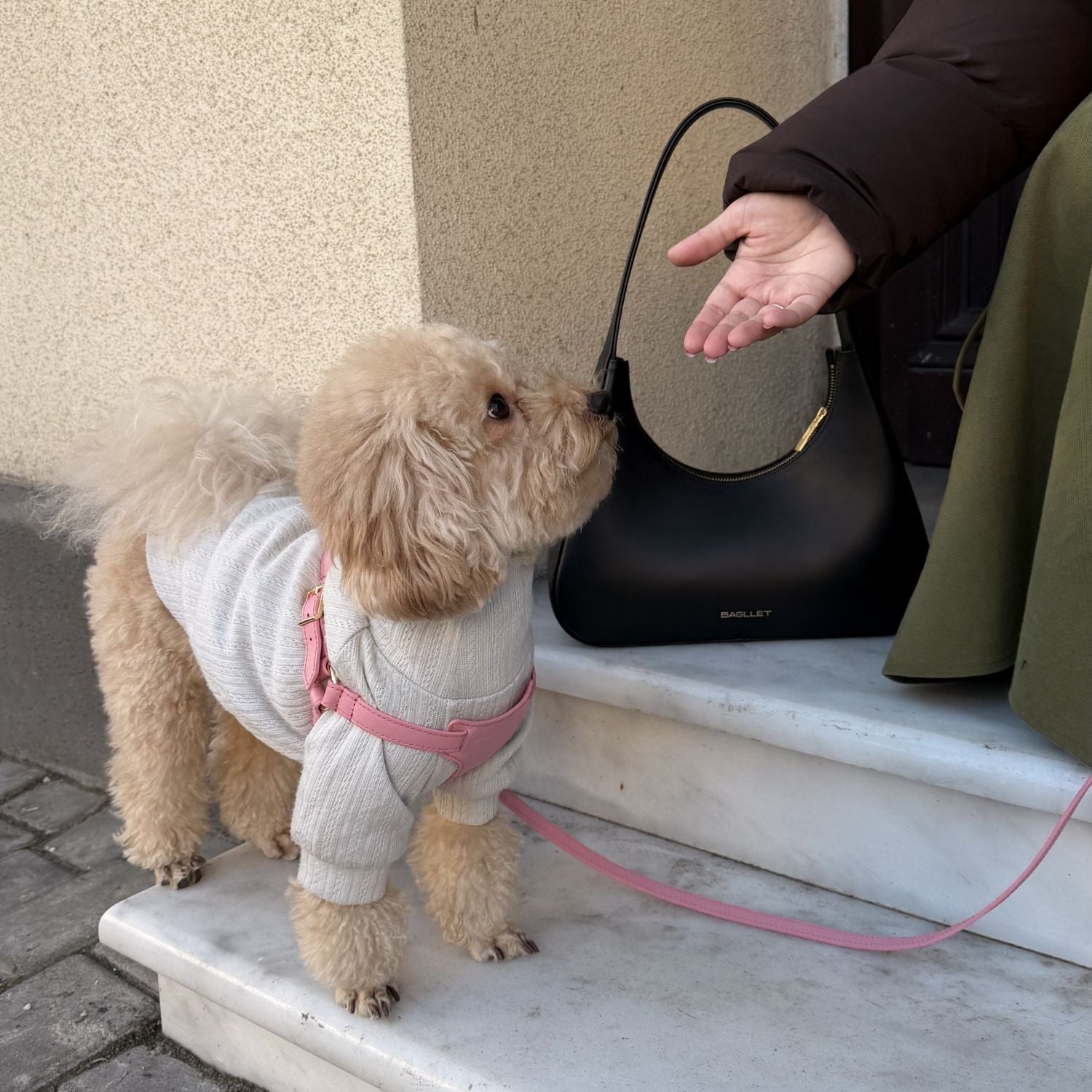 Italian Leather Harness - Pink & Gold