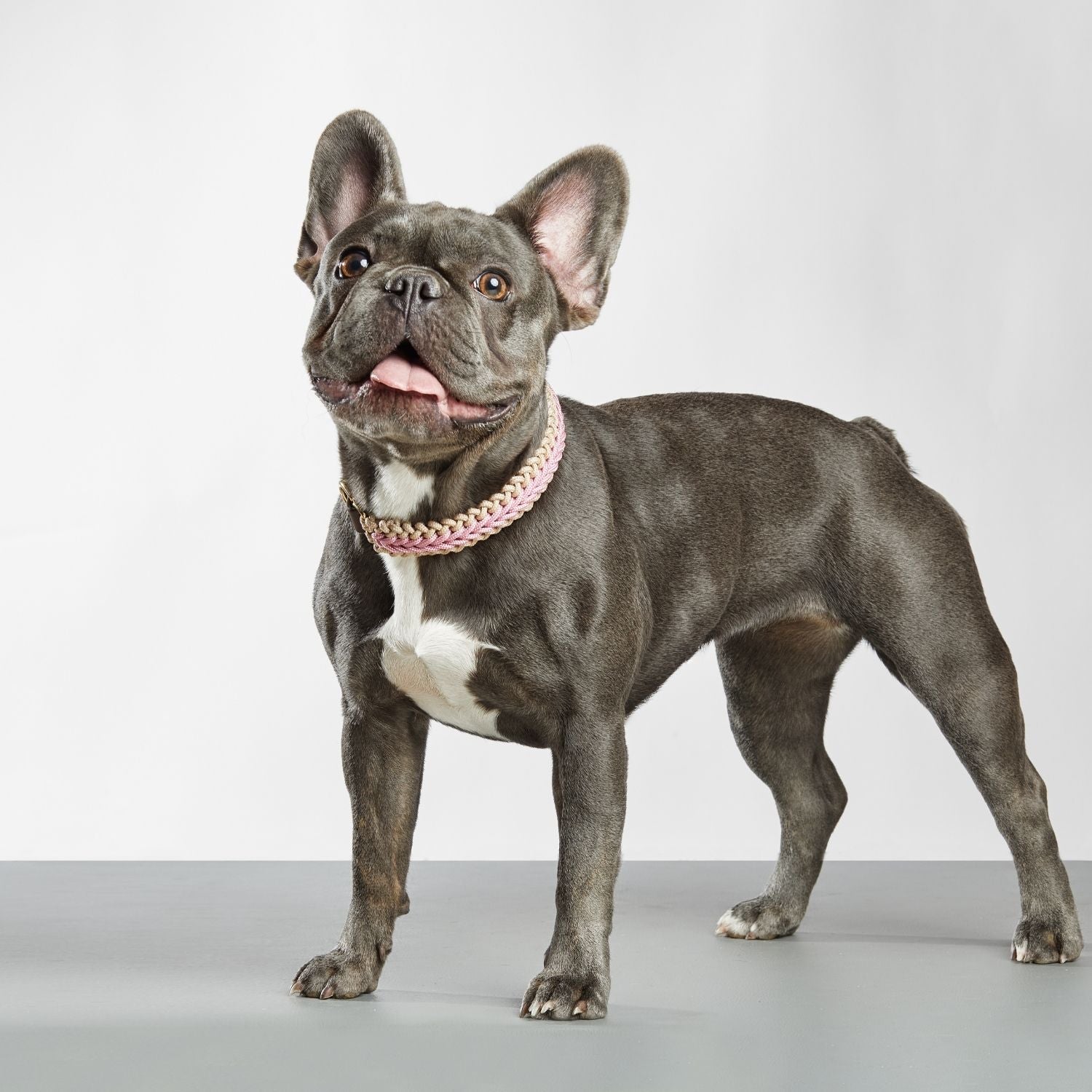 Catalina - Blush Pink Collar
