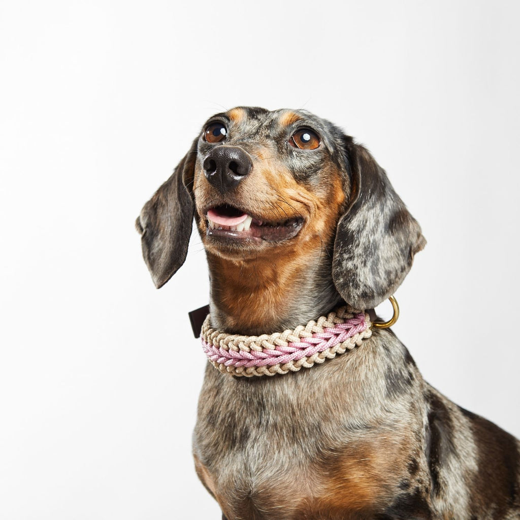 Catalina - Blush Pink Collar