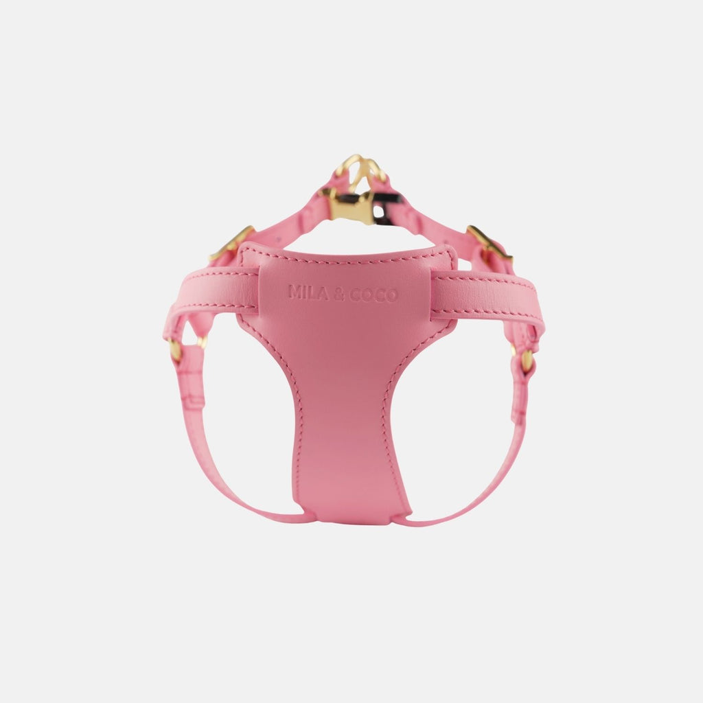 Italian Leather Harness - Pink & Gold