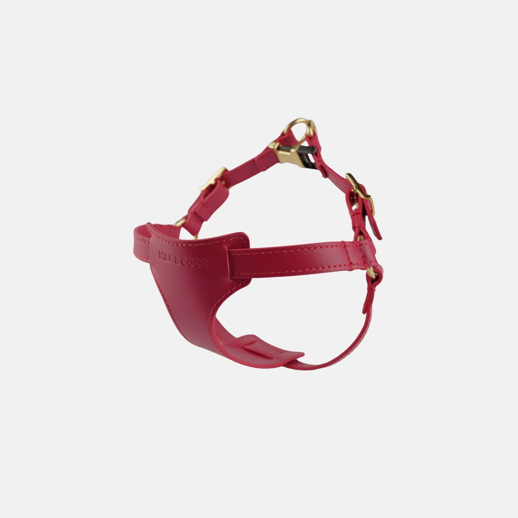 Italian Leather Harness - Burgundy & Gold