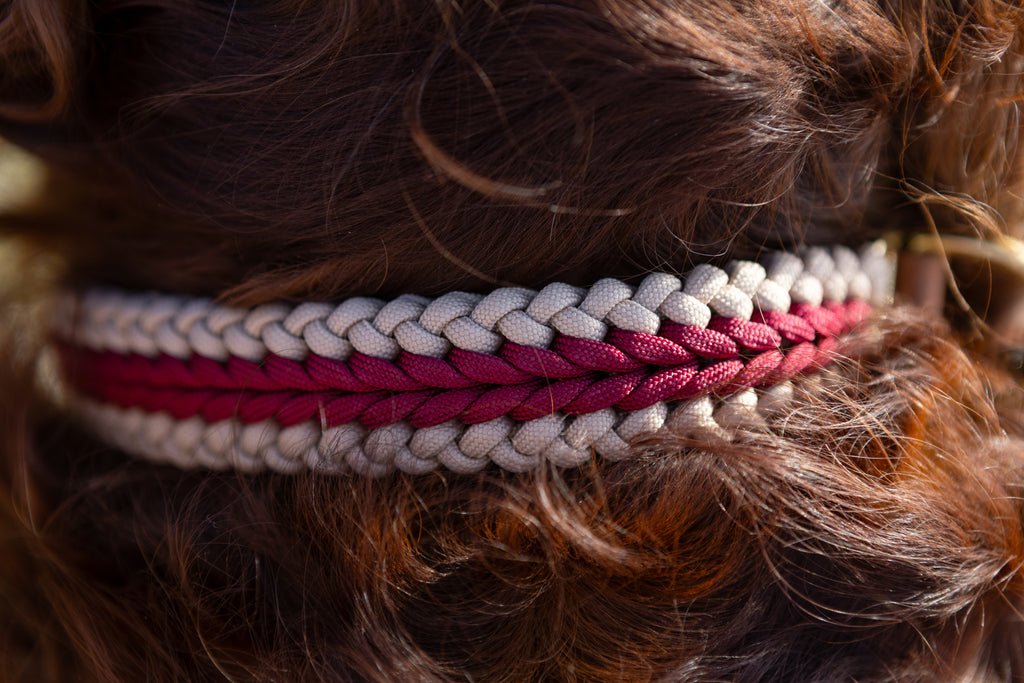 Catalina - Red Collar
