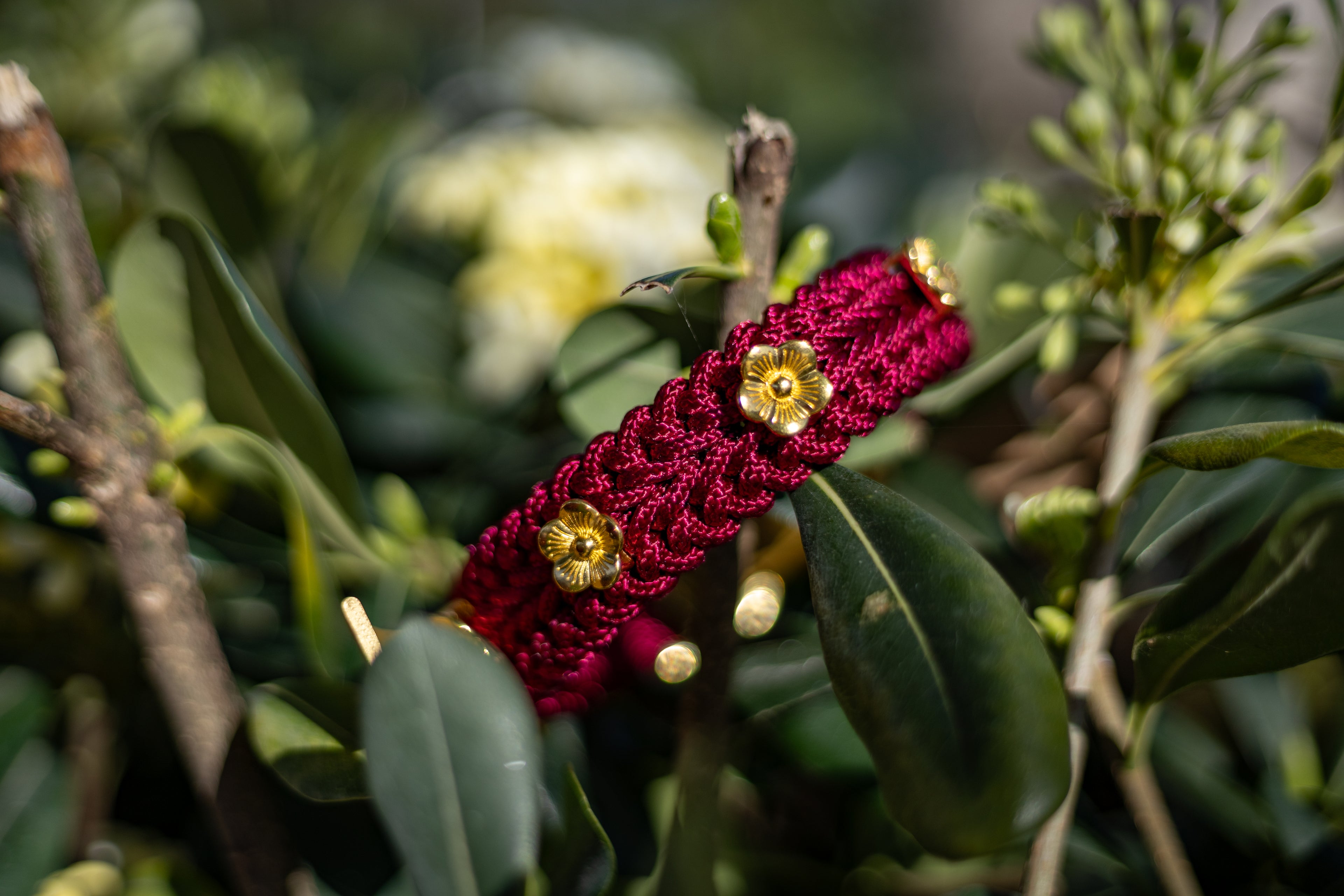 Flor - Scarlett Collar