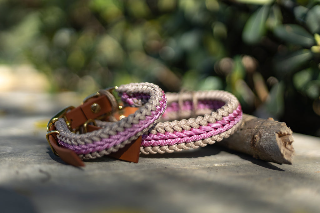 Catalina - Blush Pink Collar