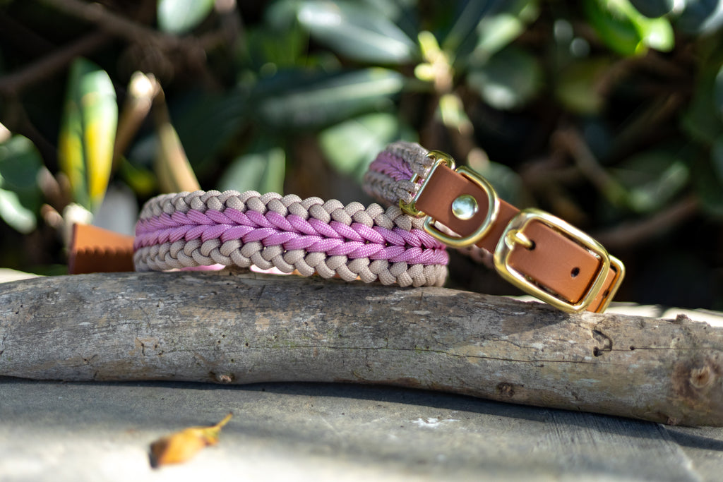 Catalina - Blush Pink Collar