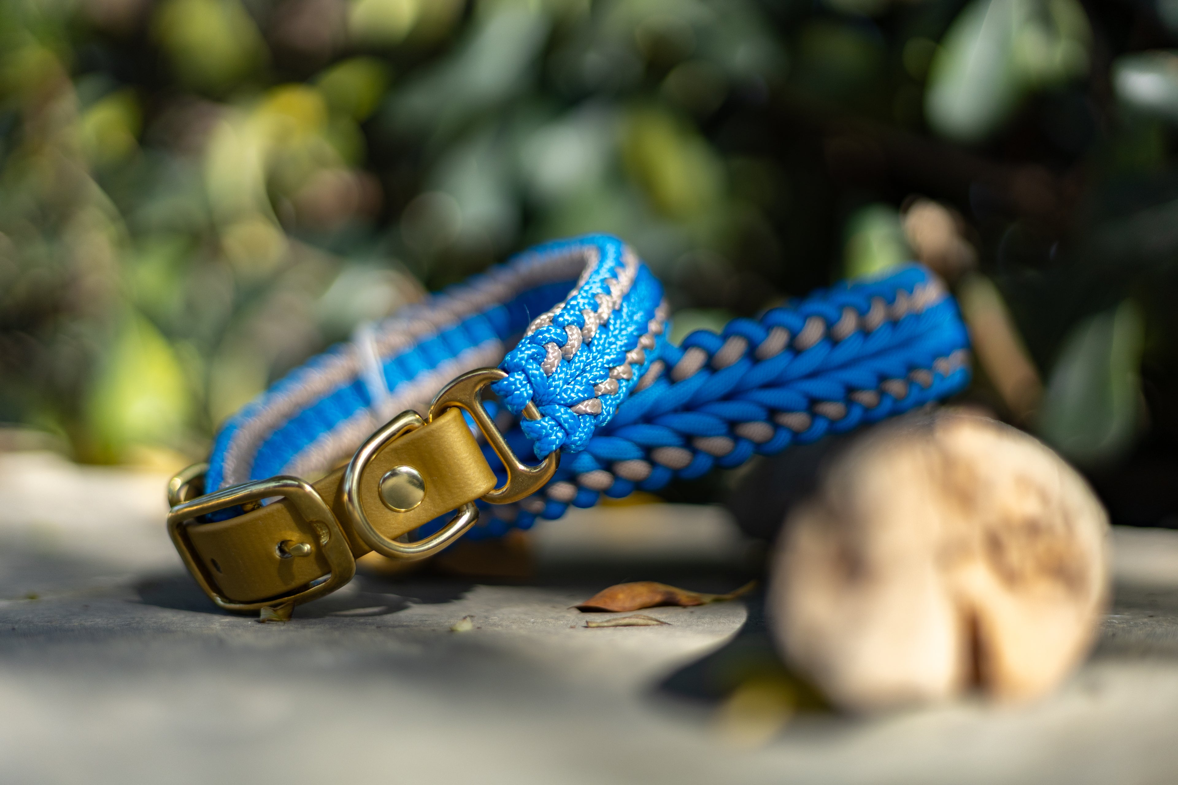 Catalina - Tropical Blue Collar