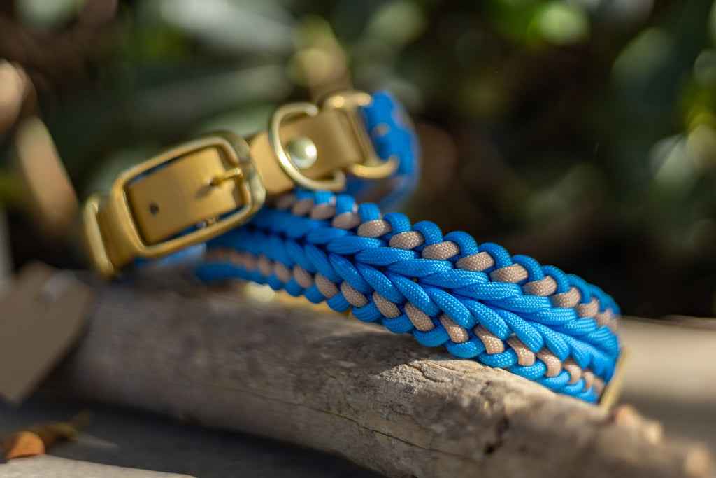 Catalina - Tropical Blue Collar