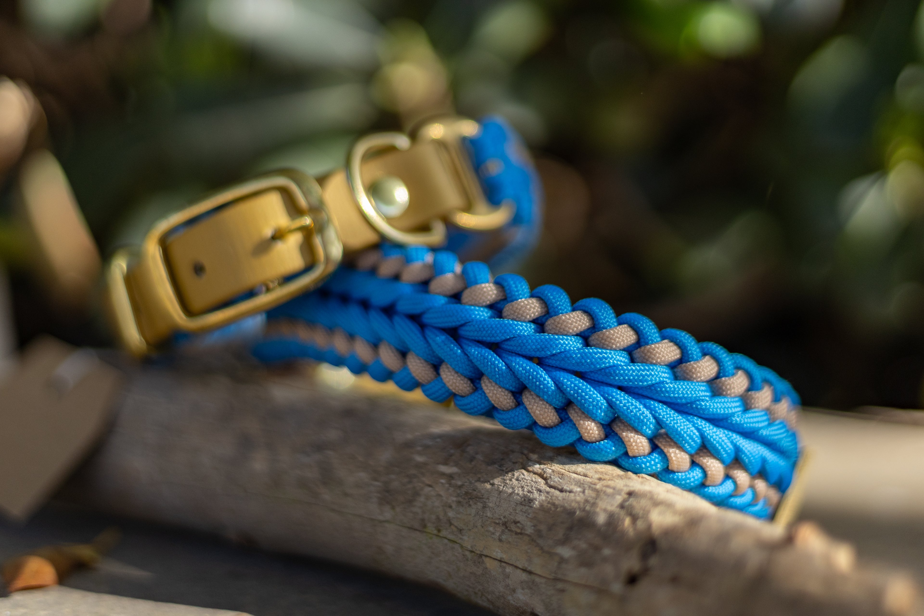 Catalina - Tropical Blue Collar