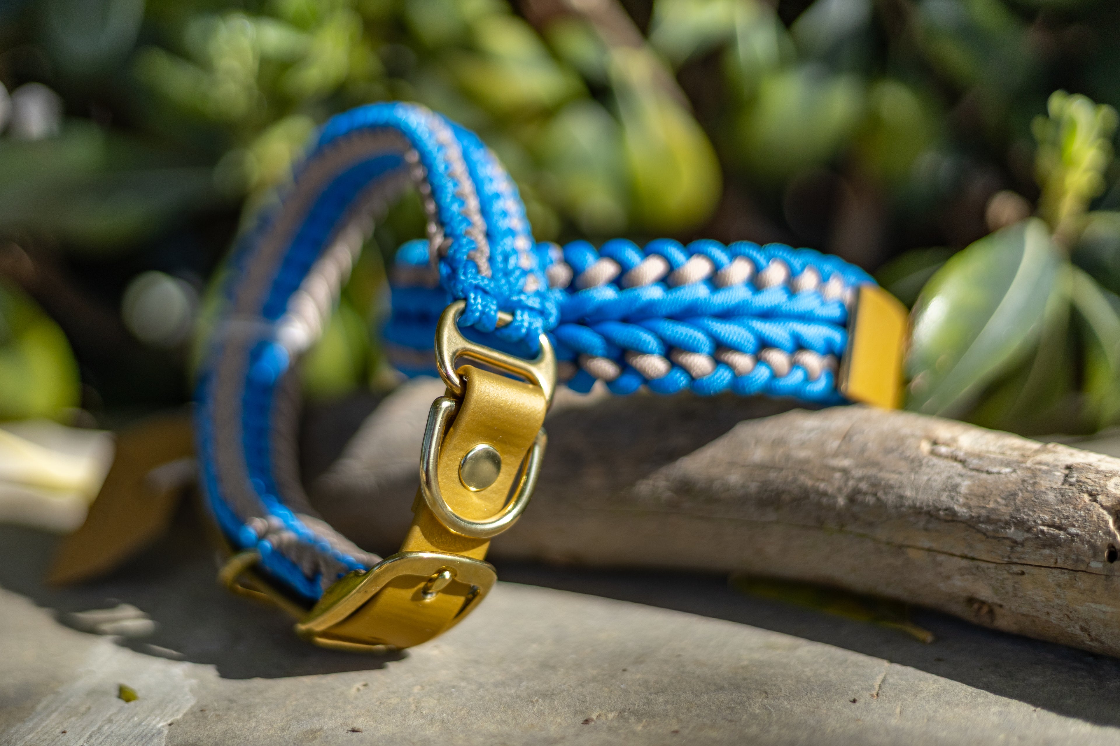 Catalina - Tropical Blue Collar