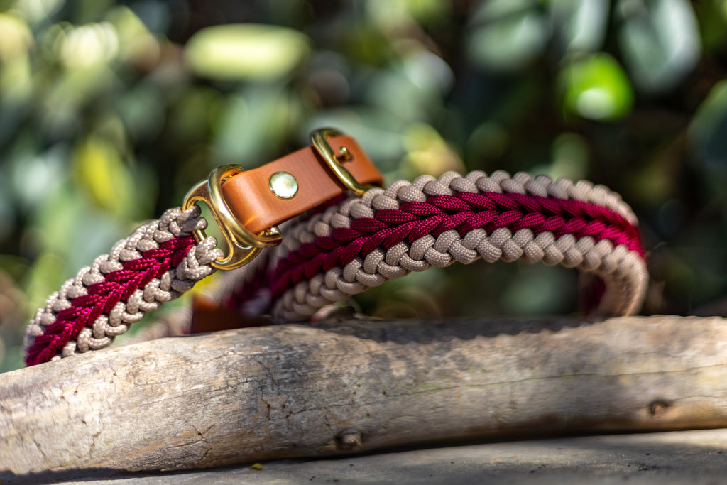 Catalina - Red Collar