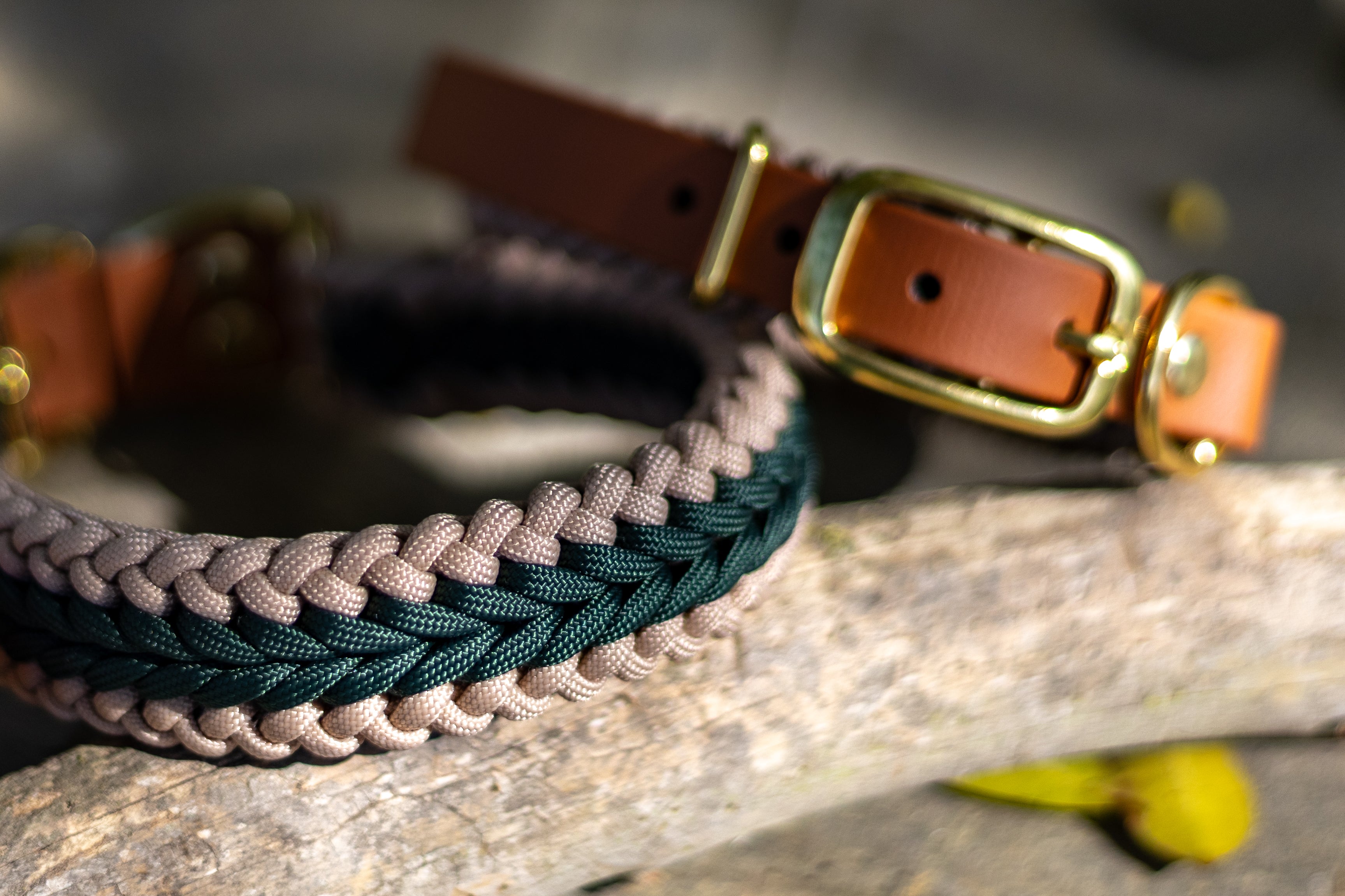 Catalina - Dark Green Collar