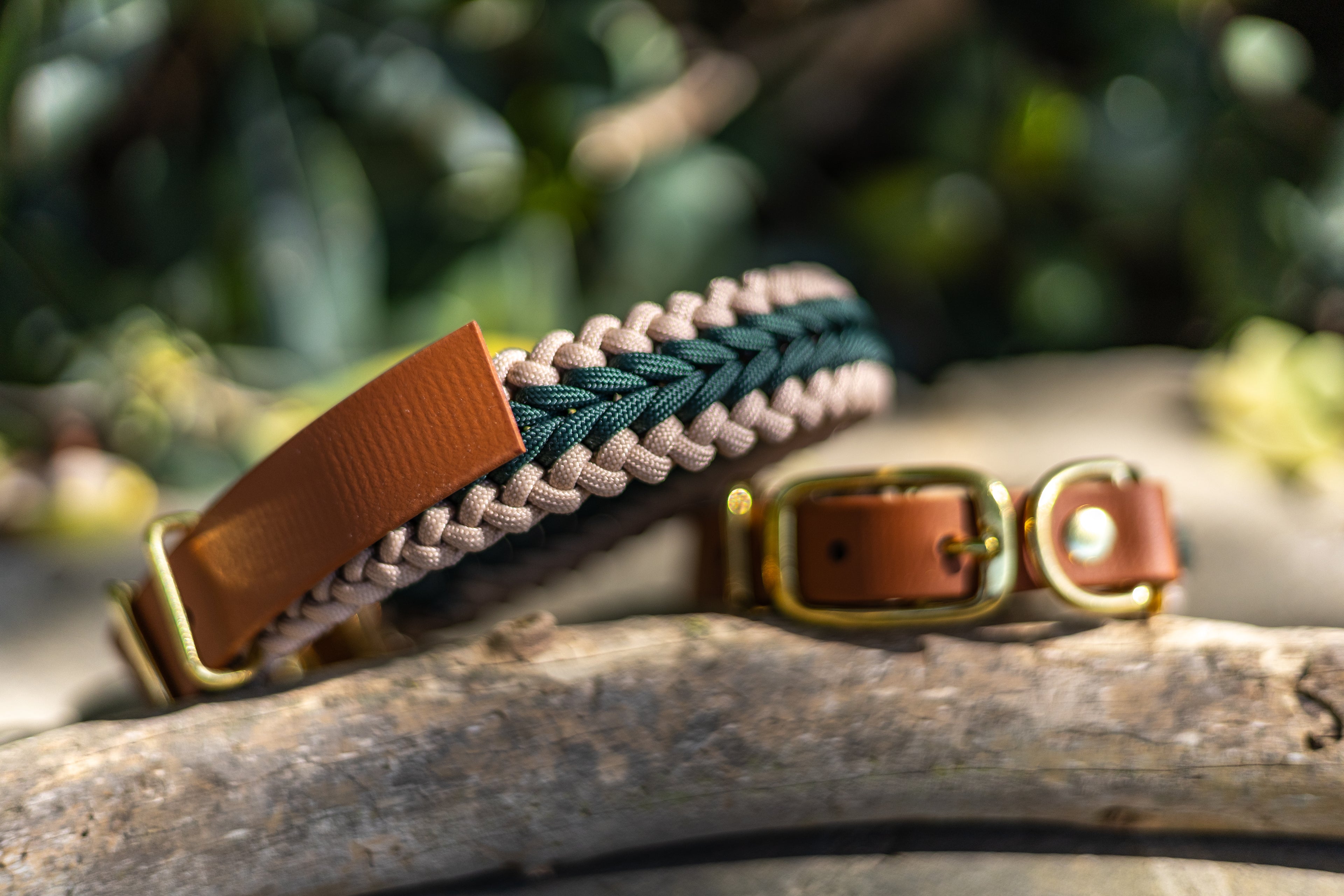 Catalina - Dark Green Collar