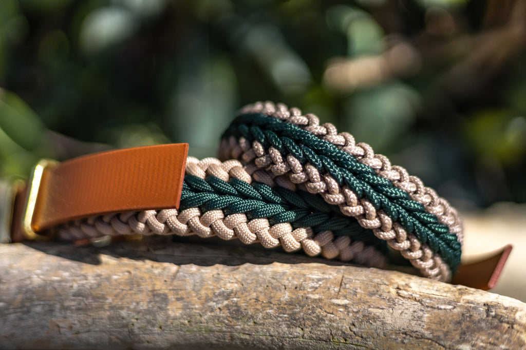 Catalina - Dark Green Collar