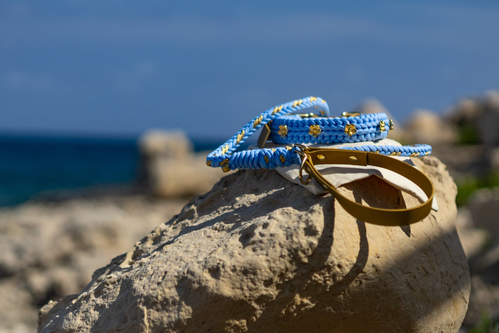 Flor - Sky Blue Leash