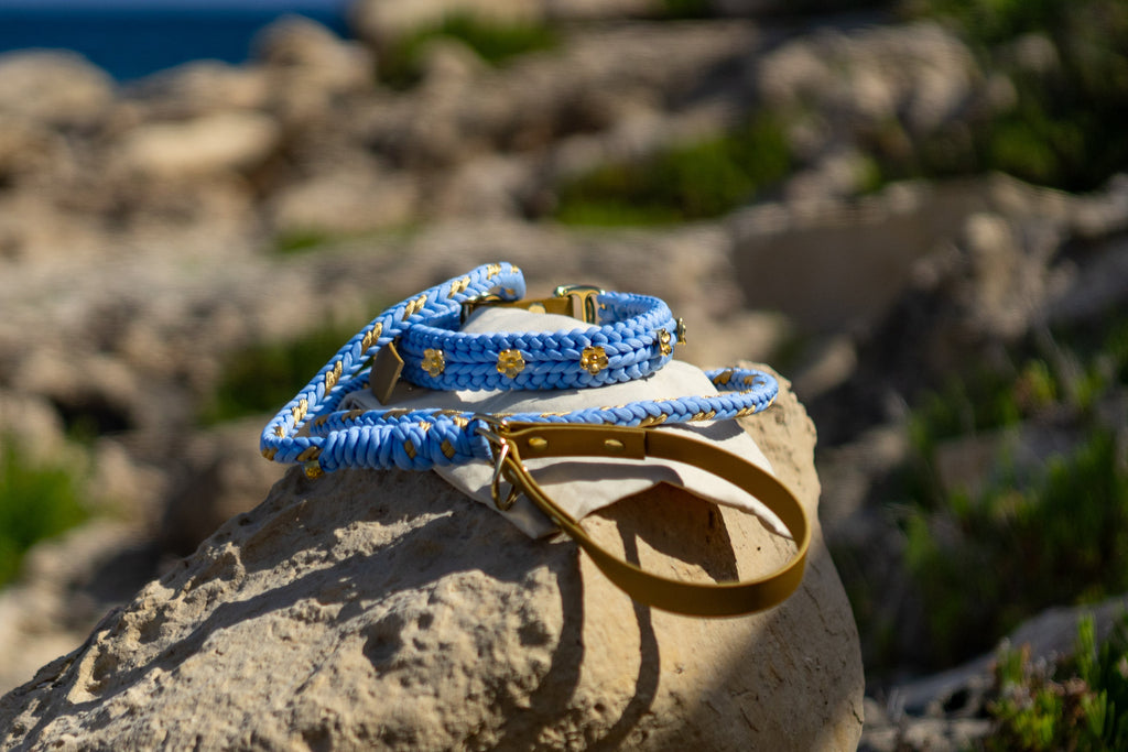 Flor - Sky Blue Leash