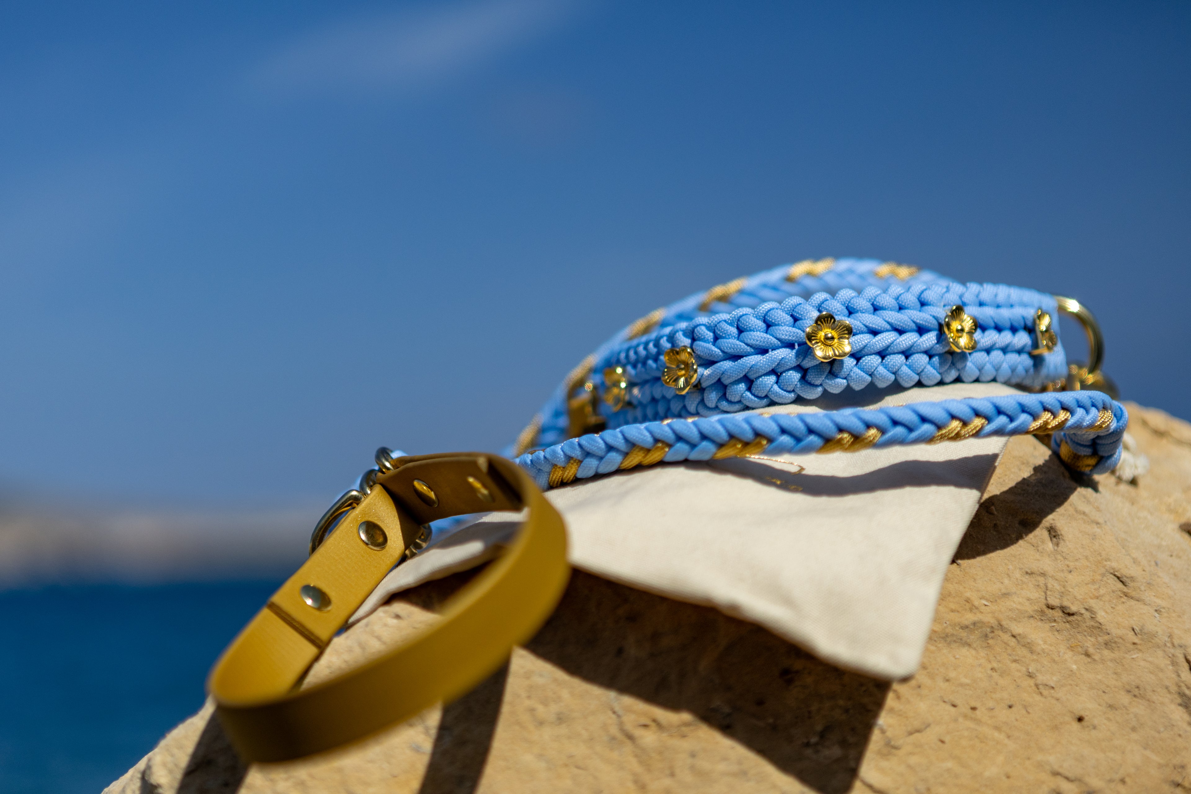 Flor - Sky Blue Leash