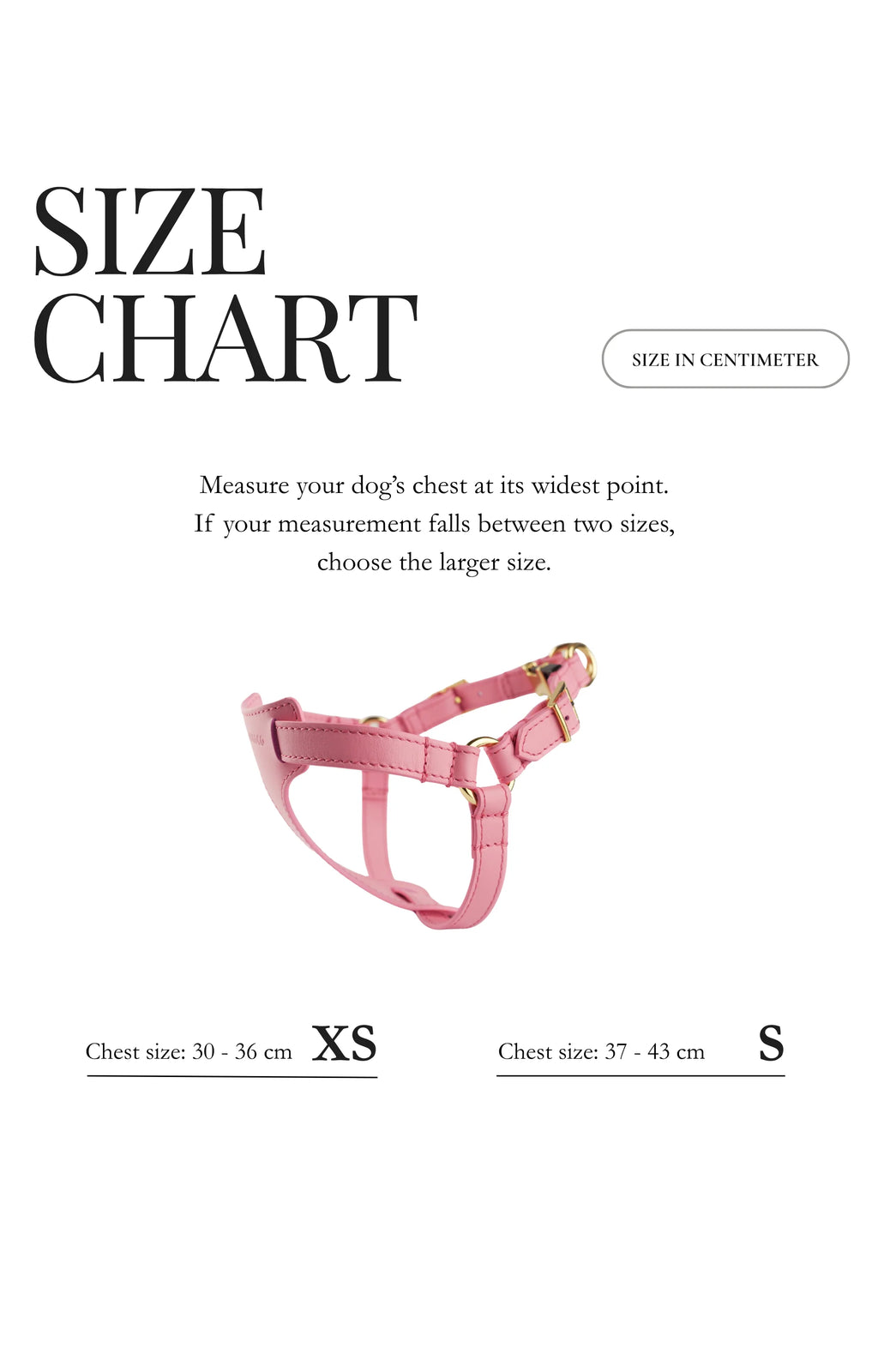 Italian Leather Harness - Burgundy & Gold